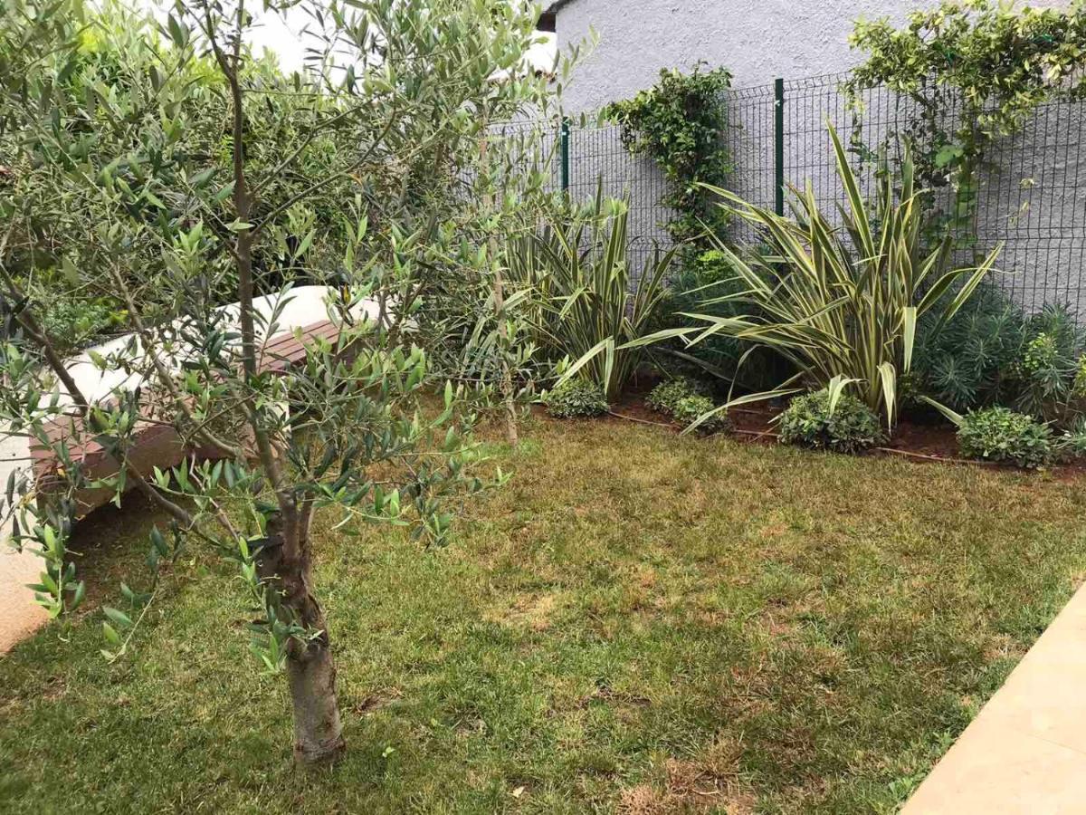 PUY Apartmani Nena I Ilka מראה חיצוני תמונה